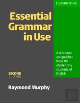 Essential Grammar In Use Without Answers