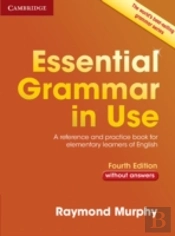 Essential Grammar In Use Without Answers