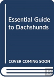 Essential Guide To Dachshunds