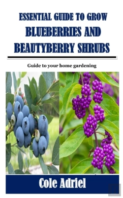 Bertrand.pt - Essential Guide To Grow Blueberries And Beautyberry Shrubs