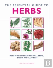 Essential Guide To Herbs