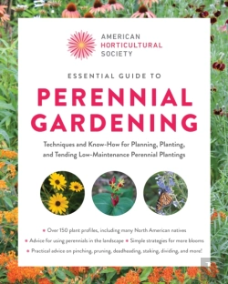 Bertrand.pt - Essential Guide To Perennial Gardening