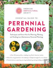 Essential Guide To Perennial Gardening