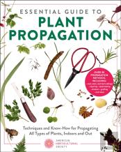 Essential Guide To Plant Propagation