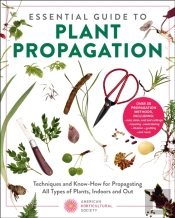 Essential Guide To Plant Propagation