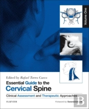 Essential Guide To The Cervical Spine