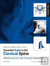 Essential Guide To The Cervical Spine