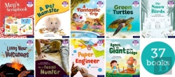 Bertrand.pt - Essential Letters & Sounds: Essential Phonic Readers: Ol 1-7 Review Singles Pk
