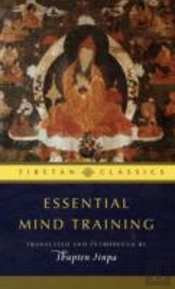 Essential Mind Training