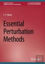 Essential Perturbation Methods