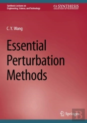 Essential Perturbation Methods