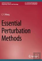 Essential Perturbation Methods