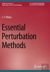 Essential Perturbation Methods
