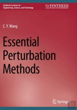 Bertrand.pt - Essential Perturbation Methods