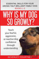 Essential Skills For Your Growly But Brilliant Family Dog