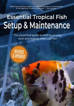 Bertrand.pt - Essential Tropical Fish