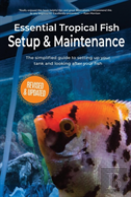 Essential Tropical Fish Setup & Maintenance