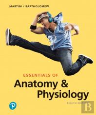 Essentials Of Anatomy & Physiology