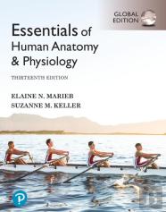 Essentials Of Human Anatomy & Physiology, Global Edition + Mastering A&P With Pearson Etext