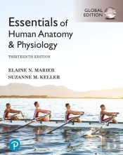 Essentials Of Human Anatomy & Physiology, Global Edition + Mastering A&P With Pearson Etext