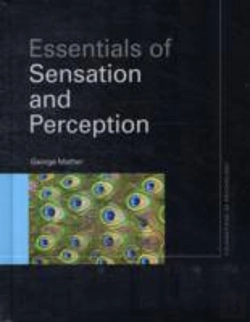 Bertrand.pt - Essentials Of Sensation And Perception