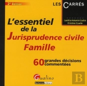 Essentiel De La Jurisprudence Civile. La