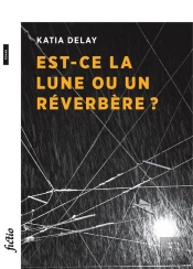 Est-Ce La Lune Ou Un Réverbère ?
