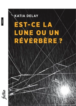 Bertrand.pt - Est-Ce La Lune Ou Un Réverbère ?