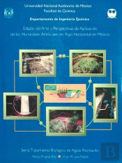 Estado Del Arte Y Perspectivas De Aplicación De Los Humedales Artificiales De Flujo Horizontal En México