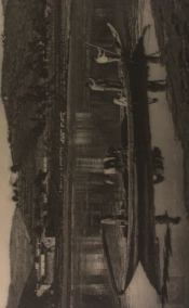 Estampa - Transporte no Douro