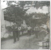 Estampa - Vindimas e Musica