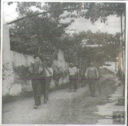 Bertrand.pt - Estampa - Vindimas e Musica