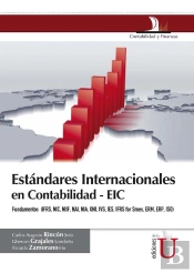 Estándares Internacionales En Contabilidad - Eic