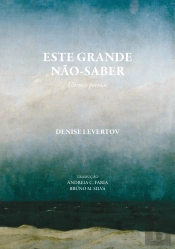 Este Grande Não-Saber