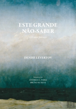 Bertrand.pt - Este Grande Não-Saber
