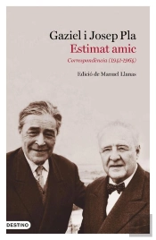 Estimat Amic