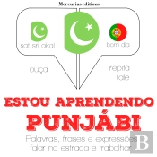 Estou Aprendendo Penjabi