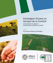 Estrategias Orzowei En Tiempos Del Covid19