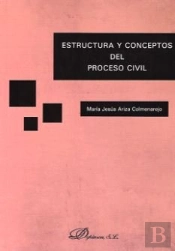 Estructura Y Conceptos Del Proceso Civil