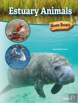 Bertrand.pt - Estuary Animals