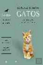 Estuche Gatos