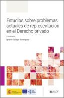 Estudios Sobre Problemas Actuales De Representacion En El Derecho Priv