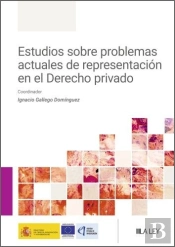 Estudios Sobre Problemas Actuales De Representacion En El Derecho Priv