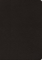 Esv Heirloom Study Bible