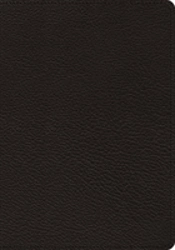 Esv Heirloom Study Bible