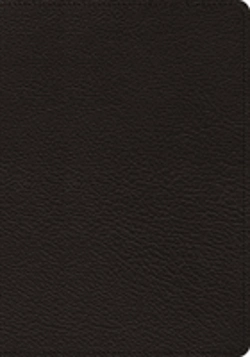 Bertrand.pt - Esv Heirloom Study Bible