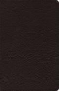 Esv Heirloom Thinline Bible