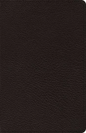 Esv Heirloom Thinline Bible