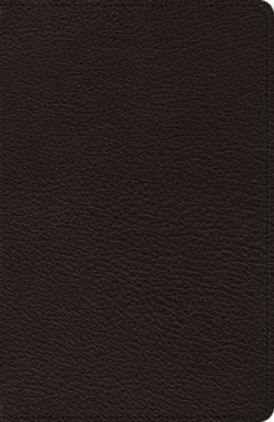 Bertrand.pt - Esv Heirloom Thinline Bible