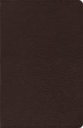 Esv Heirloom Thinline Bible